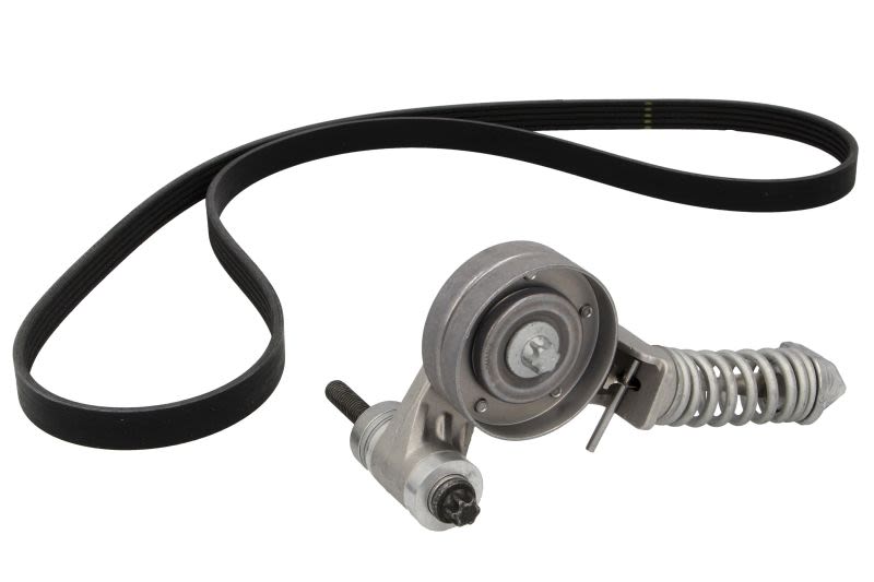 Juego de correa multinervada INA 529 0295 10 para Opel Corsa D