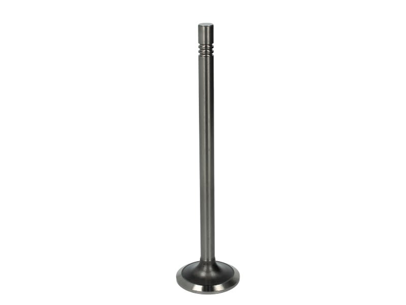 Válvula de admisión PARADOWSCY PMAN032 para MAN TGS I