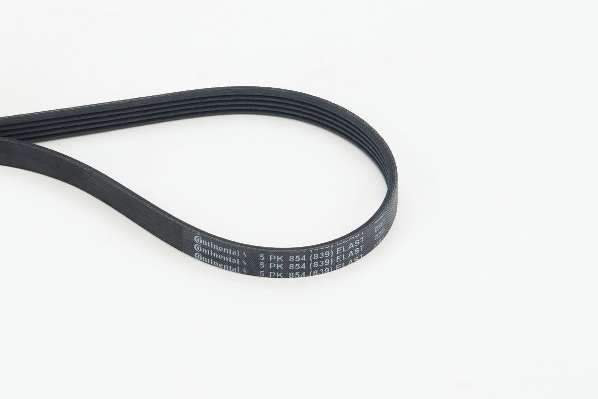 Correa multinervada CONTITECH 5PK854 ELAST para Nissan Navara NP300