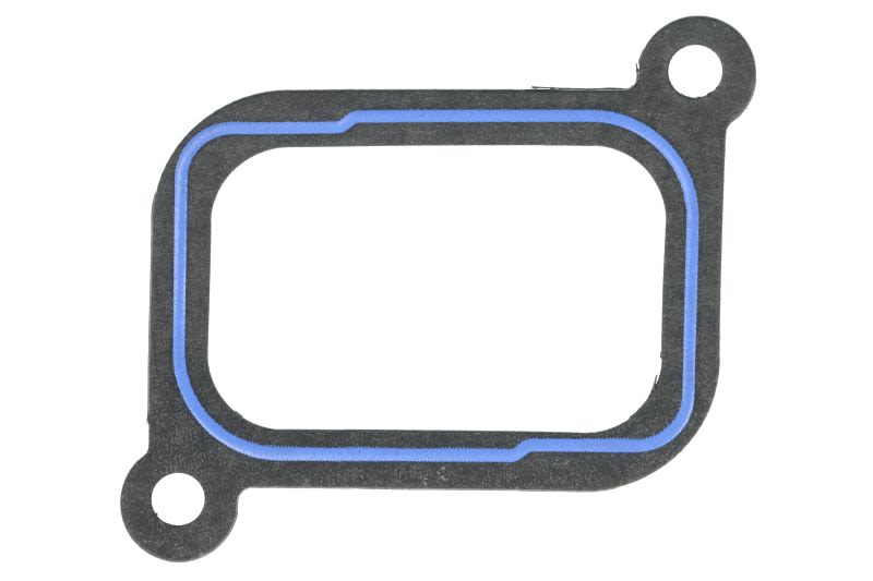 Empaquetadura de múltiple de admisión FP DIESEL R130573-FP para John Deere 4055