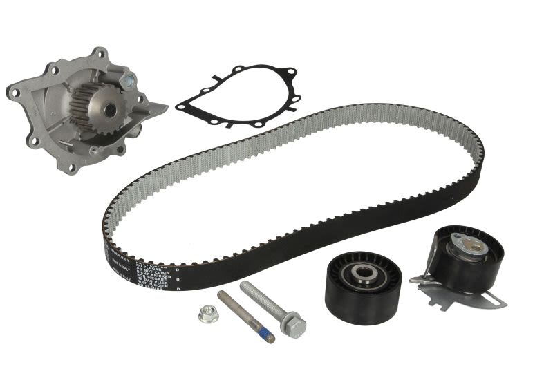 Kit de bomba de agua y correa de distribución INA 530 0489 30 para DS DS 7