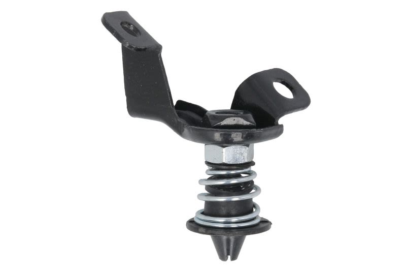 Piezas de capó PACOL MER-FP-051R para Mercedes-Benz Arocs