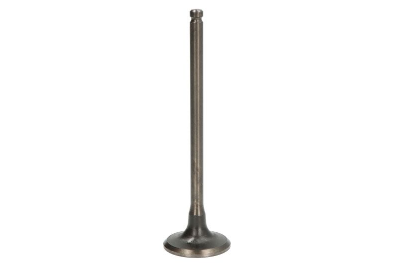 Válvula de escape AE V95163 para Citroen C3 II