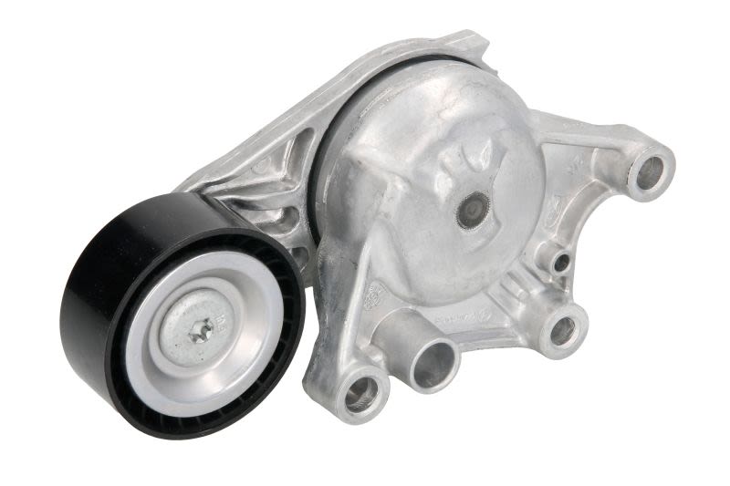 Palanca tensora de correa multicanal INA 534 0654 10 para Citroen C3 II