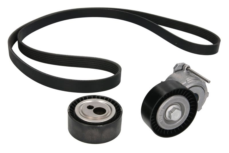 Juego de correa multinervada INA 529 0017 10 para Peugeot 206