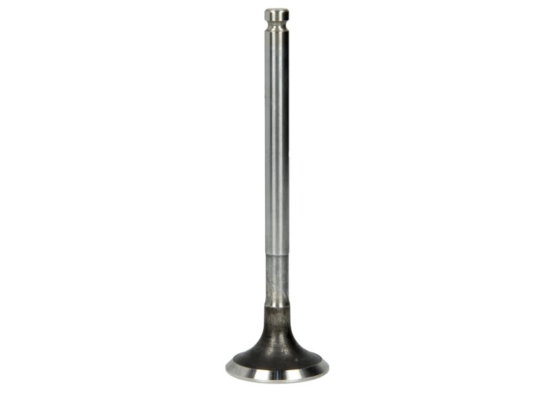 Válvula de escape FRECCIA R4781/RCR para Fiat Palio