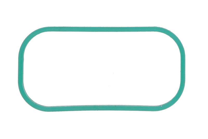 Empaquetadura de múltiple de admisión REINZ 71-17470-00 para Ford Fiesta VII