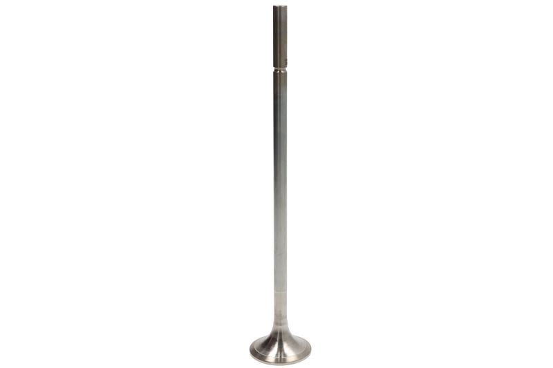 Válvula de escape MAHLE 001 VA 32005 000 para Mercedes-Benz Actros MP4 / MP5