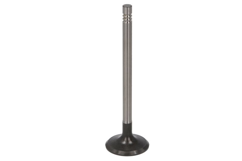 Válvula de admisión TRW 471204 para Volvo V40