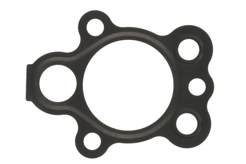 Empaquetadura de bomba de aceite PARSUN F8-05030012