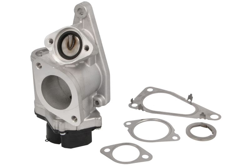 Válvula EGR BORG WARNER 712018D para Renault Megane II
