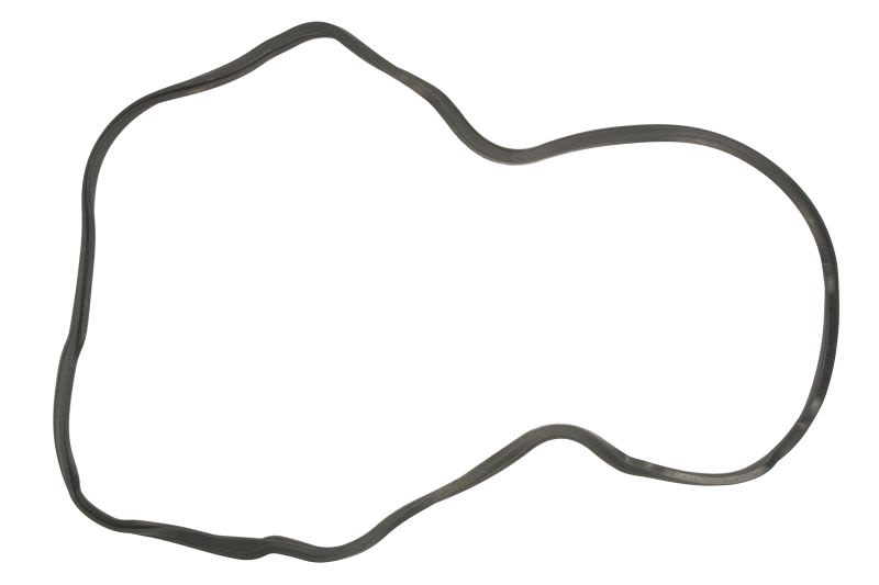 Empaquetadura de cárter de aceite ELRING 248.400 para DAF CF 85