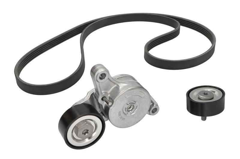 Juego de correa multinervada INA 529 0180 10 para Mini Paceman (R61) 2012-2016