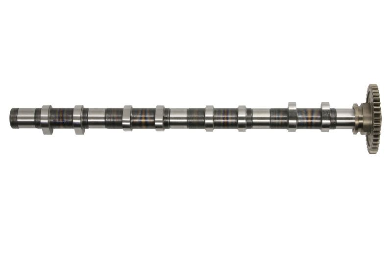 Árbol de levas MOTIVE T4342 para BMW Serie 1 (E81) 2006-2011
