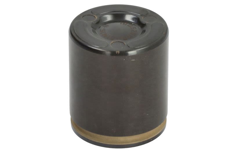 Pistón de cáliper de freno FRENKIT P424903FR para Ford USA Mustang