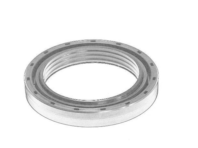 Retén de masa de rueda OE IVECO 40102293 para Iveco Tecto