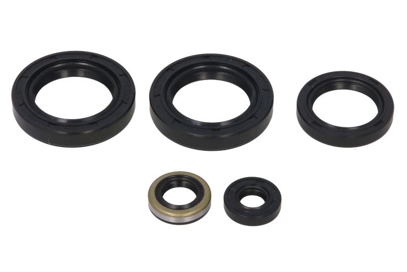 Juego de retenes de motor WINDEROSA W822244 para Kawasaki KVF