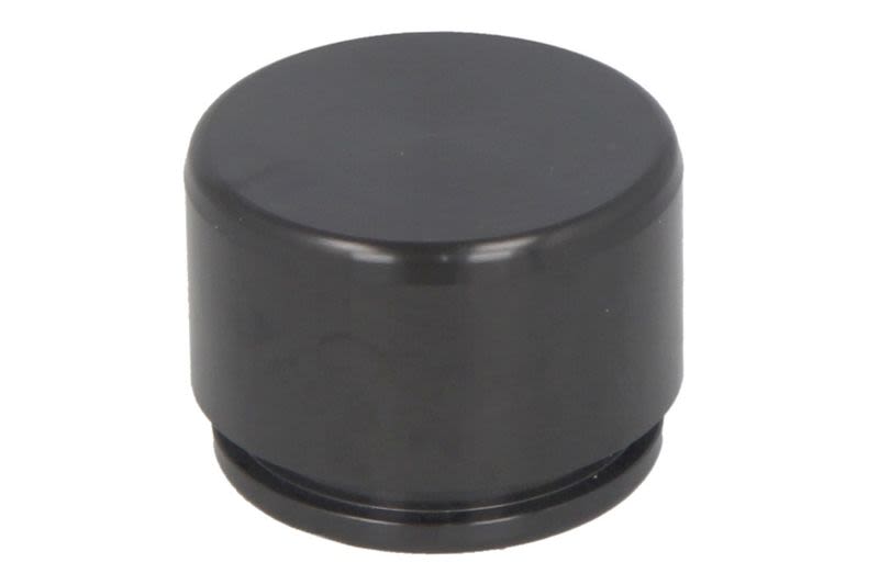 Pistón de cáliper de freno AUTOFREN SEINSA D025565 para BMW Serie 1 (E81) 2006-2011