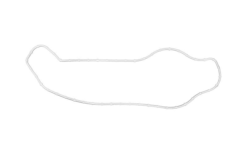 Empaquetadura de bomba de agua OE CHRYSLER 05184454AE para Dodge Challenge