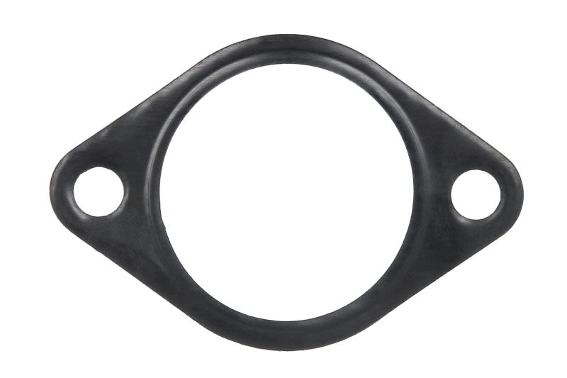 Empaquetadura de múltiple de admisión LEMA 21512.19 para Iveco Daily VI F1AGL411A-F1CGL411B