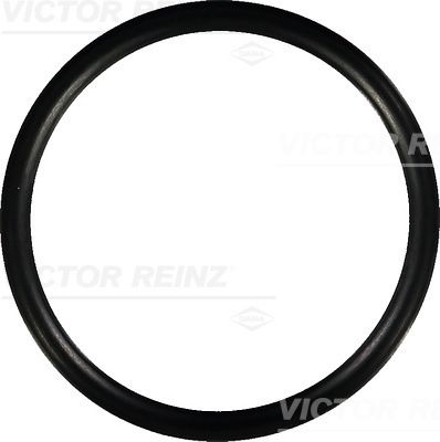 Empaquetadura de múltiple de admisión REINZ 40-76752-00 para Peugeot Boxe
