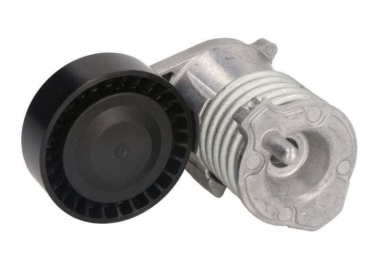 Palanca tensora de correa multicanal INA 534 0029 10 para Ford Focus II