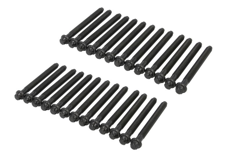 Juego de pernos de culata REINZ 14-10728-02 para Renault Atles