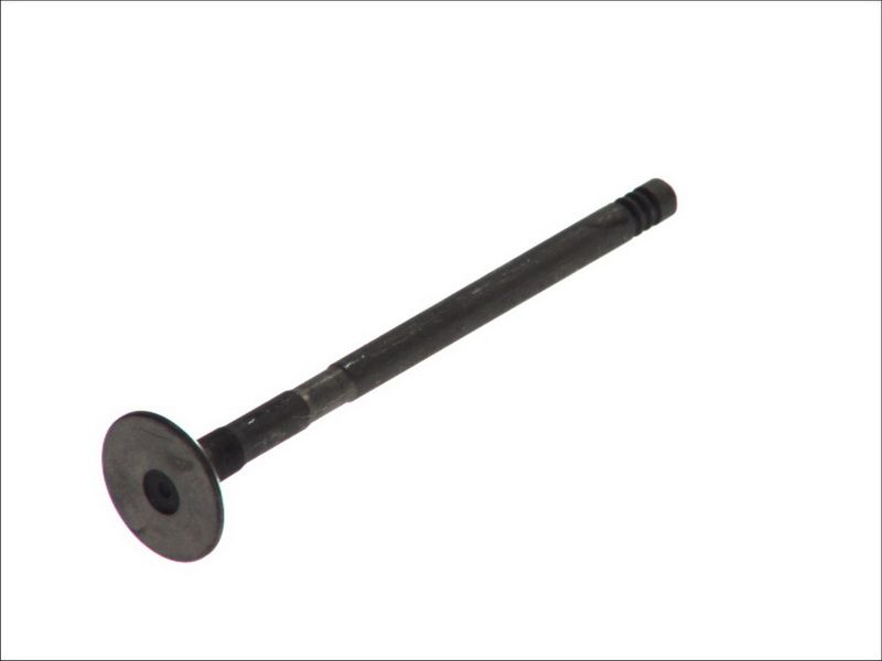 Válvula de escape FRECCIA R6465/RNT para Ford Fiesta V