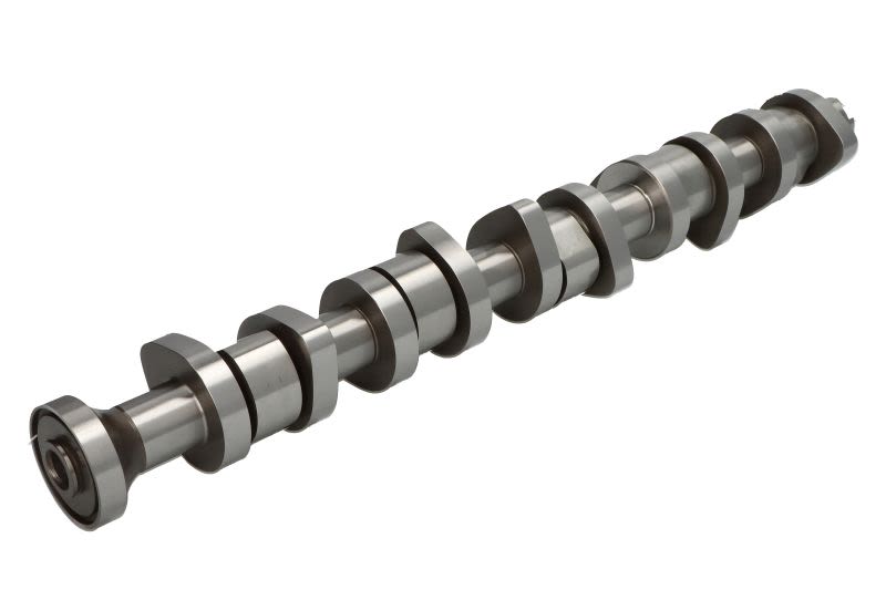 Árbol de levas MOTIVE T069S para Volkswagen Transporter T5