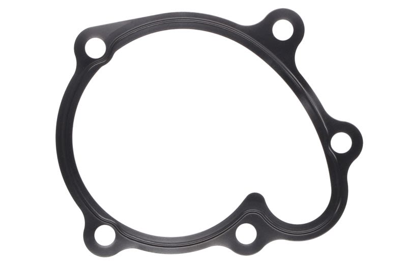 Empaquetadura de bomba de agua ELRING 238.460 para Opel Corsa C