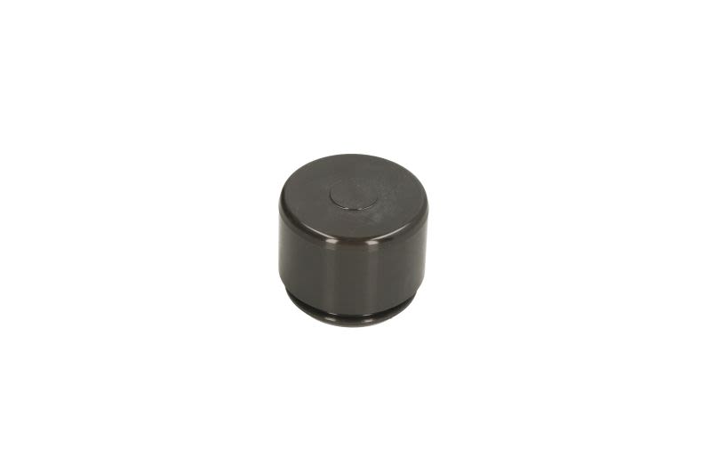 Pistón de cáliper de freno AUTOFREN SEINSA D025616 para BMW Serie 1 (F20) 2011-2019