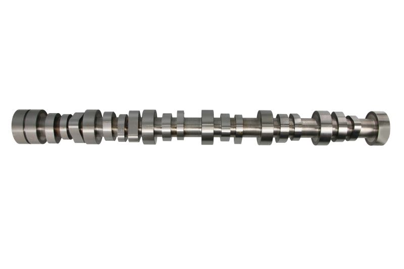 Árbol de levas BF 20100913000 para DAF CF
