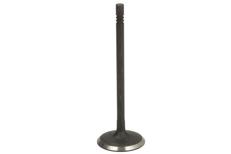 Válvula de admisión FRECCIA R8025/SNT para Ford Fiesta VII