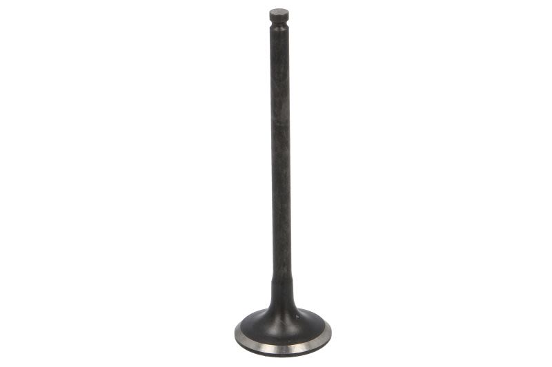 Válvula de escape FRECCIA R6806/RNT para Citroen C3 II
