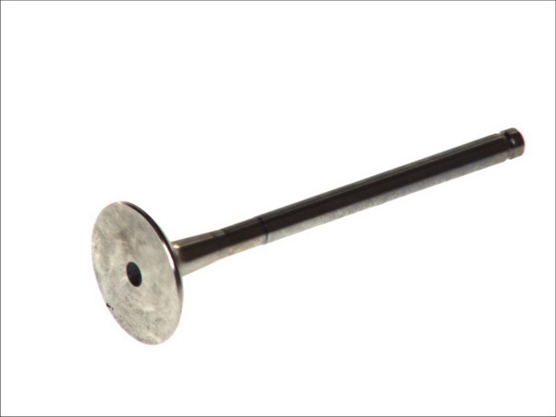 Válvula de escape FRECCIA R4575/RCR para Renault 19 I