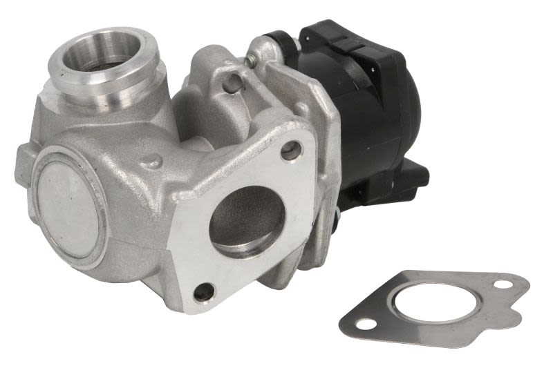 Válvula EGR DELPHI EG10401-12B1 para Citroen C3 I