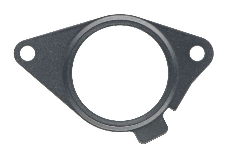 Empaquetadura de válvula EGR ELRING 380.070 para BMW Serie 1 (F20) 2011-2019