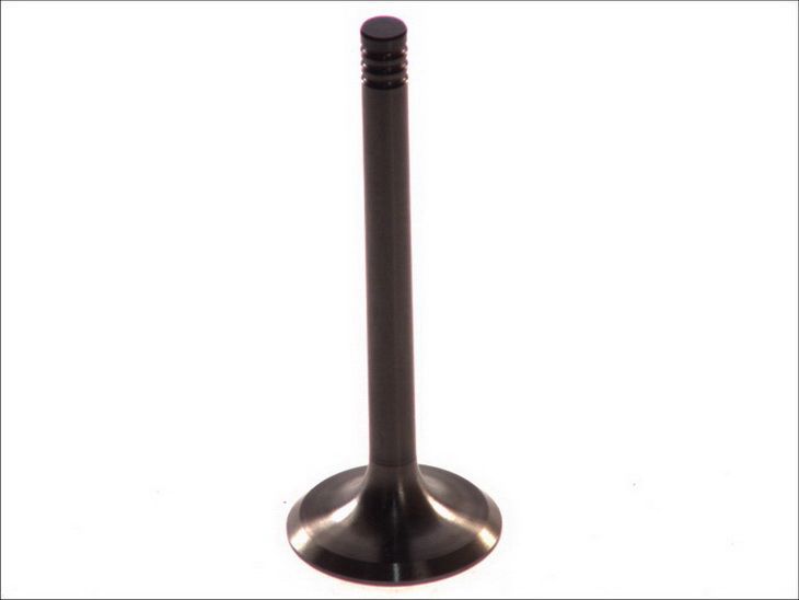 Válvula de admisión PARADOWSCY PVWG027-S-0-N para Audi A4 B5