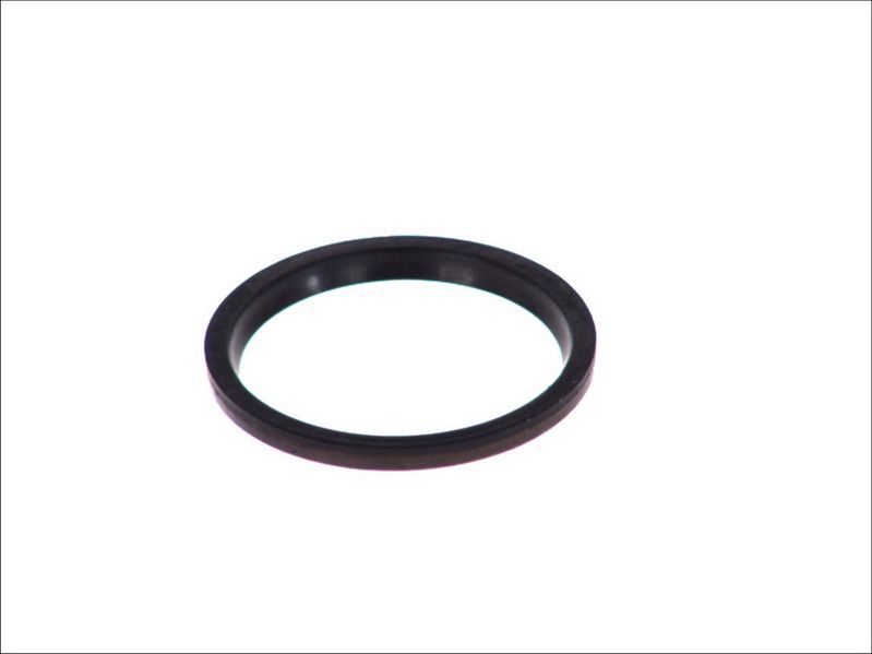 Anillo de sello de mangueta de dirección AUGER 54844 para RVI C