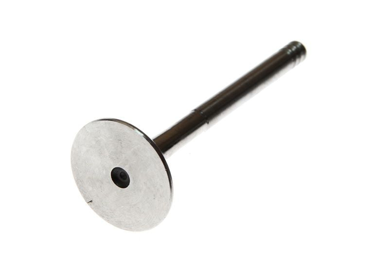 Válvula de escape FRECCIA R6529/R para Volkswagen Golf IV