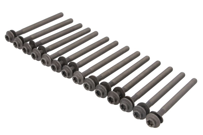 Juego de pernos de culata REINZ 14-21242-01 para Land Rover Defende