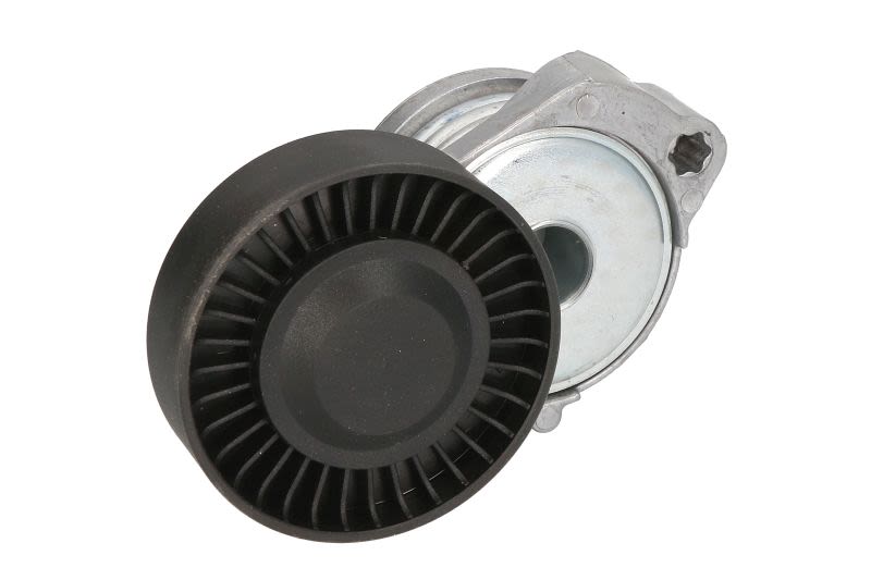 Palanca tensora de correa multicanal BTA E3G0006BTA para Volvo V40