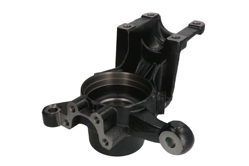 Mangueta de dirección REINHOCH RH08-2004 para Citroen C3 I