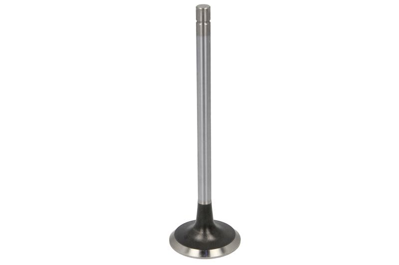 Válvula de escape FRECCIA R3794/BMCR para RVI G