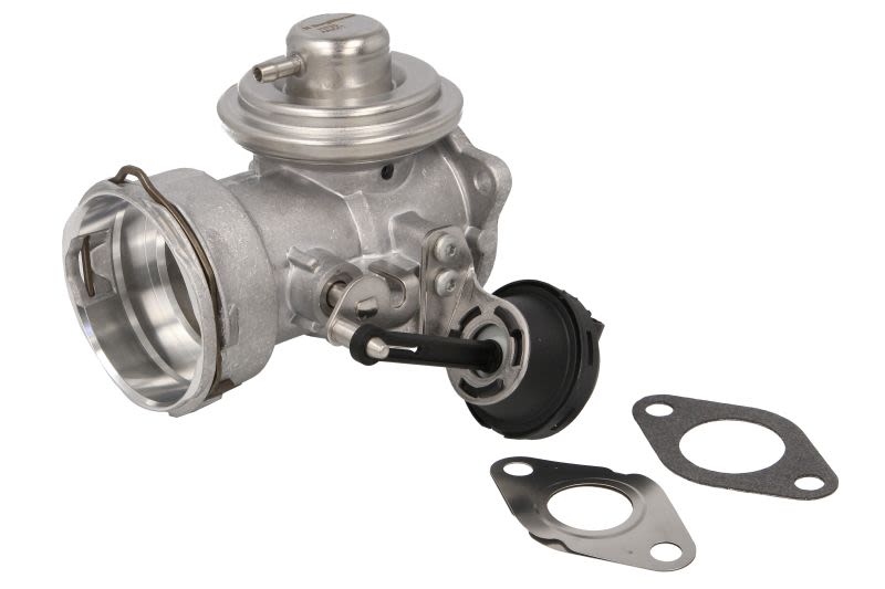 Válvula EGR BORG WARNER 7372D para Audi A4 B6