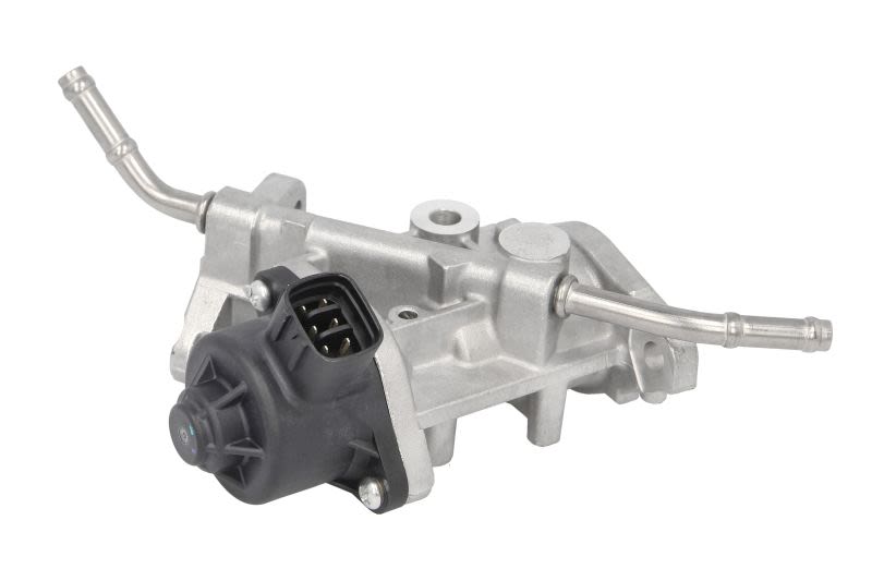 Válvula EGR DELPHI EG10738-12B1 para Toyota Coroll