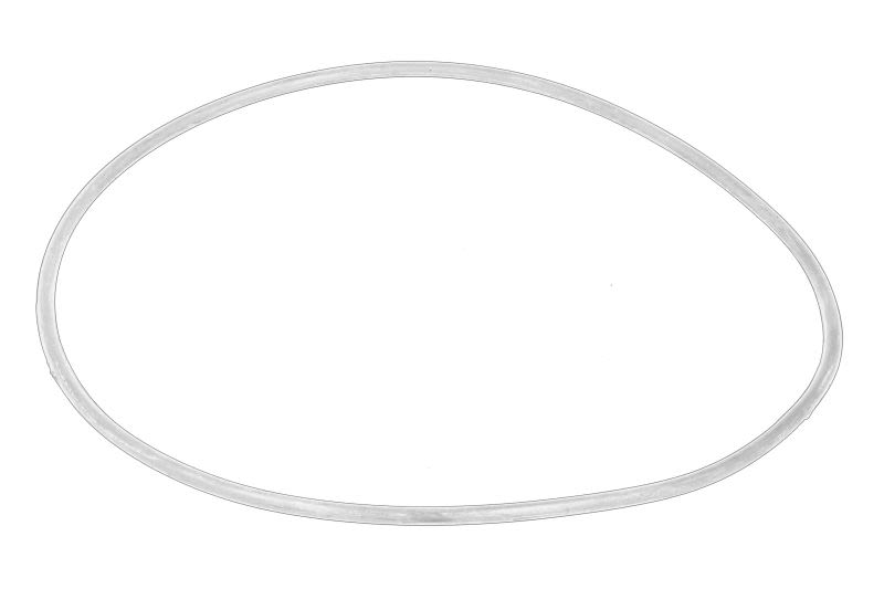 Empaquetadura de bomba de agua OE DAF 1927605 para DAF CF