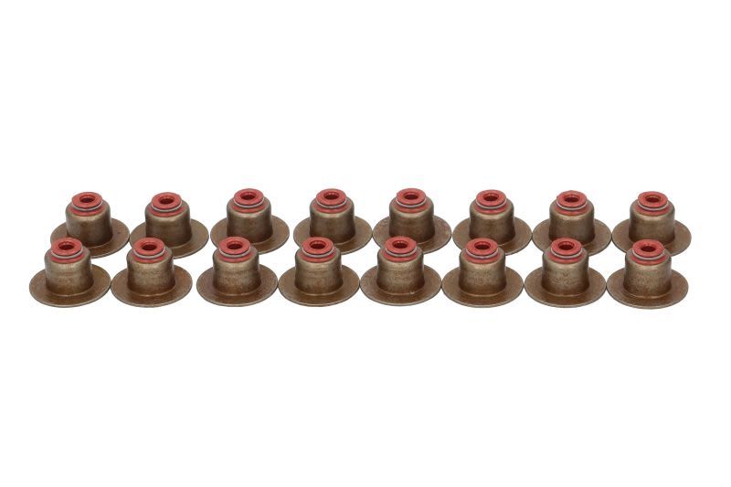 Juego de retenes de vástago de válvula REINZ 12-42873-01 para Opel Astra J