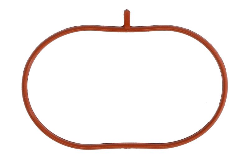Empaquetadura de múltiple de admisión REINZ 71-36409-00 para Mercedes-Benz Clase C (CL203) 2001-2011