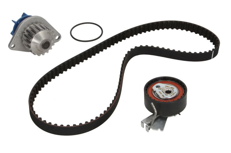 Kit de bomba de agua y correa de distribución SKF VKMC 03254 para Citroen C3 I